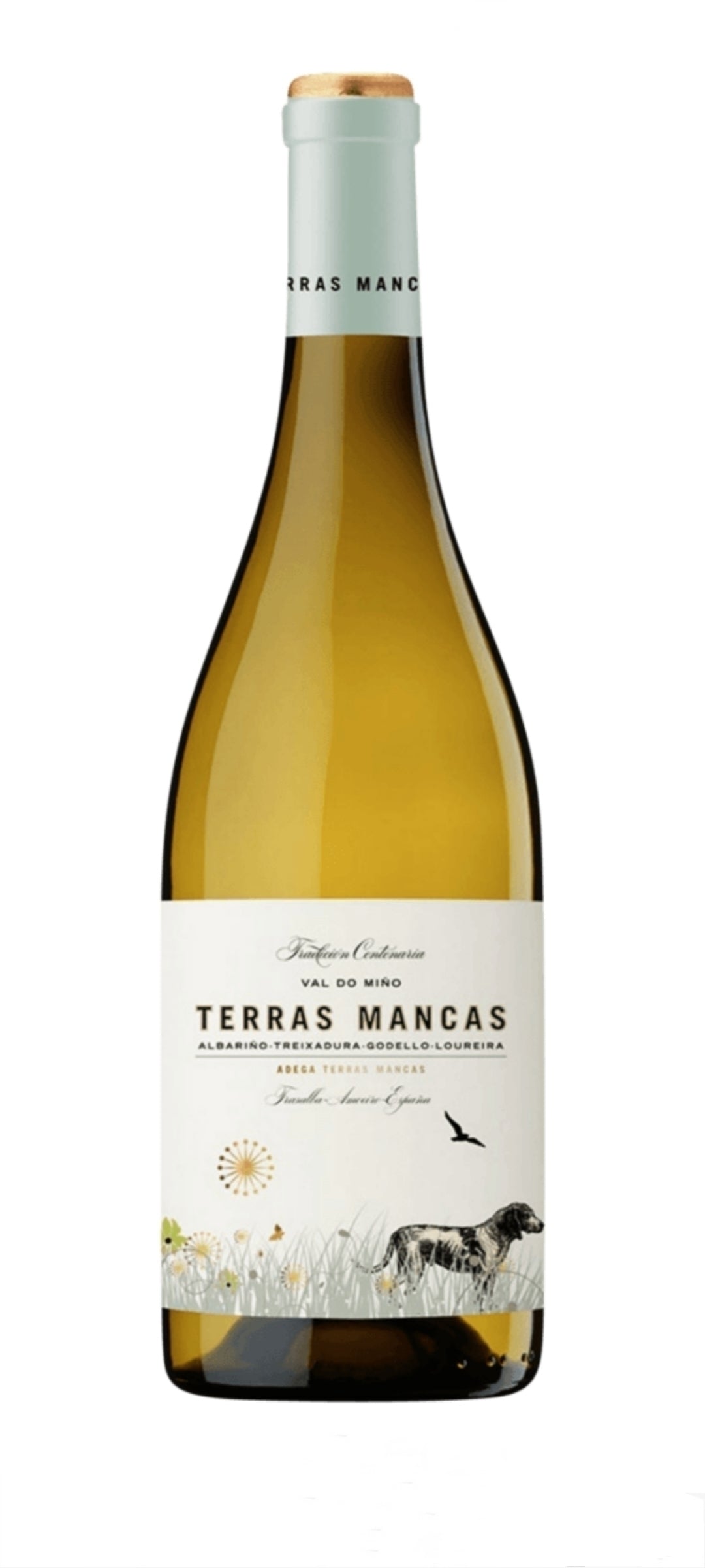 Terras Mancas - Blanco with gift box